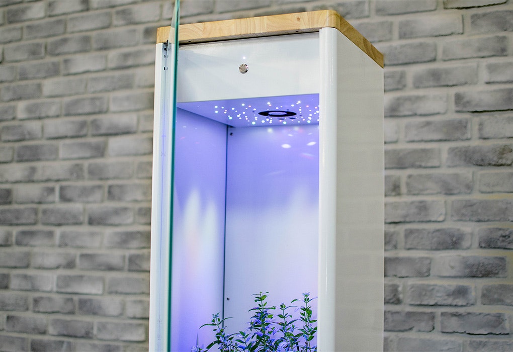 Grobo Smart Grow Box The easiest way to grow food and cannabis at