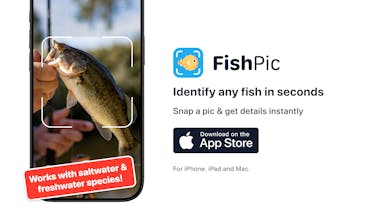 FishPic gallery image