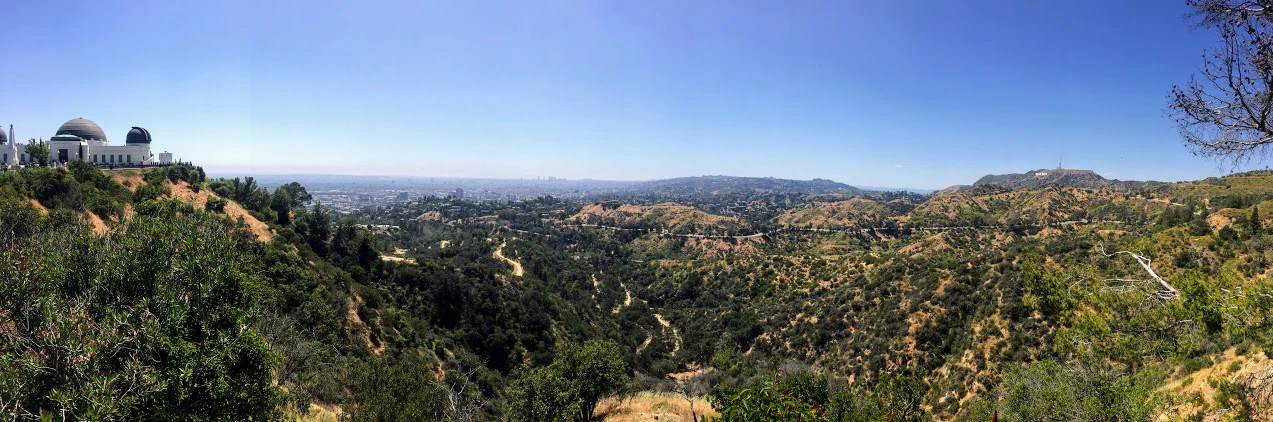 Steven Gutierrez cover