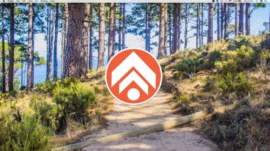 Shepherd gallery image