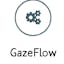 GazeRecorder WebCam Eye Tracking
