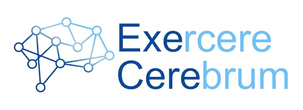 ExeCere – Train Your Brain Daily gallery image
