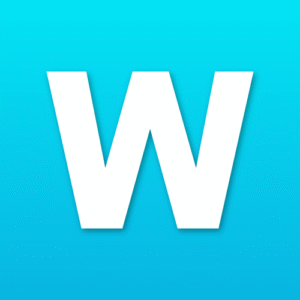 Web Ace Solution