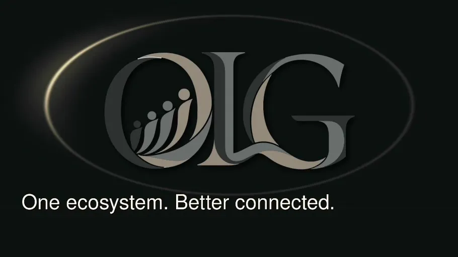 OMNILION Business Network gallery image