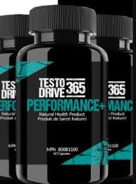 Testo Drive 365