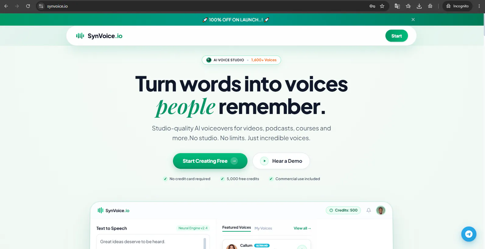 SynVoice.io gallery image