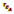 Custom website in 1 day