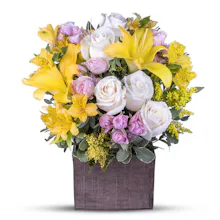 Snapblooms gallery image