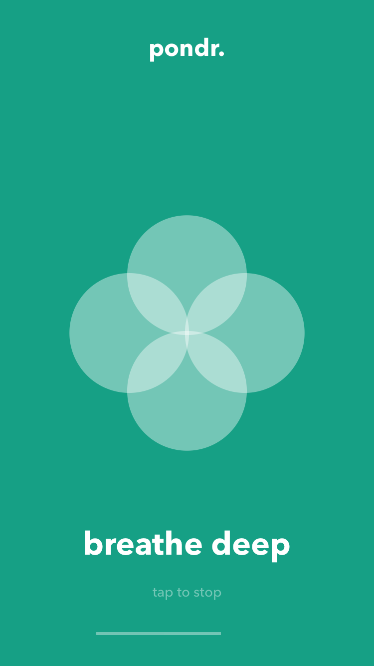 pondr. gallery image