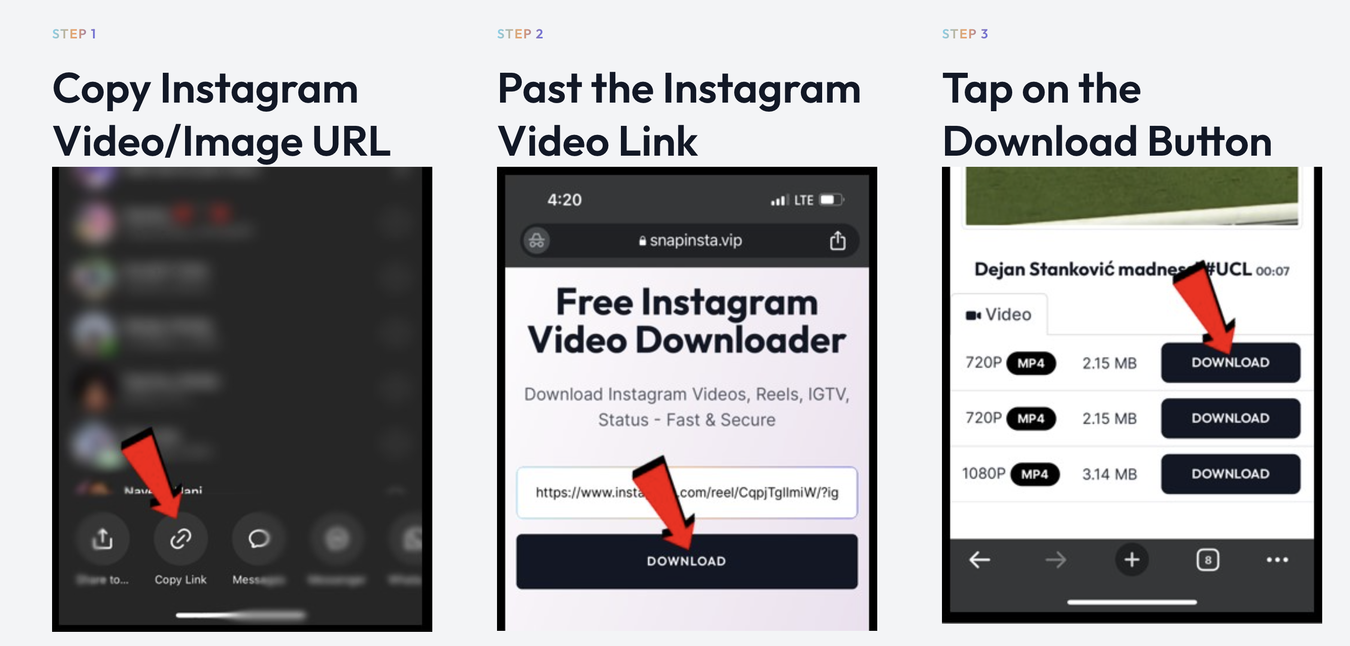 Snapinsta media 2