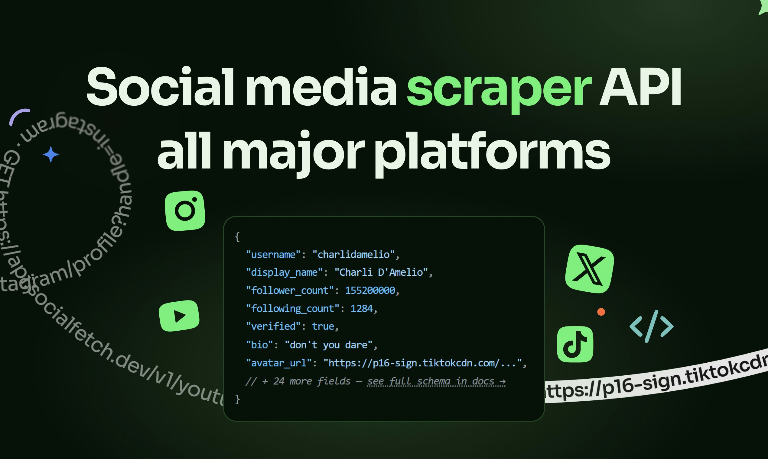 Social Fetch gallery image