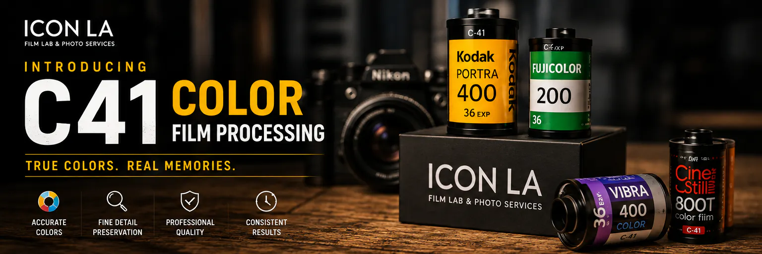 The Icon gallery image