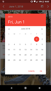 Checkiday gallery image
