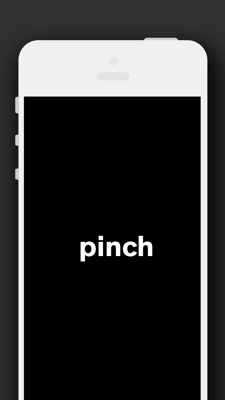 Turtle gallery image