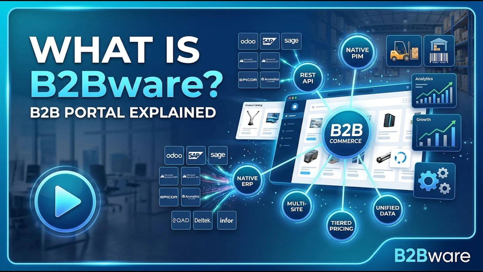 B2Bware screenshot 1 (video preview)
