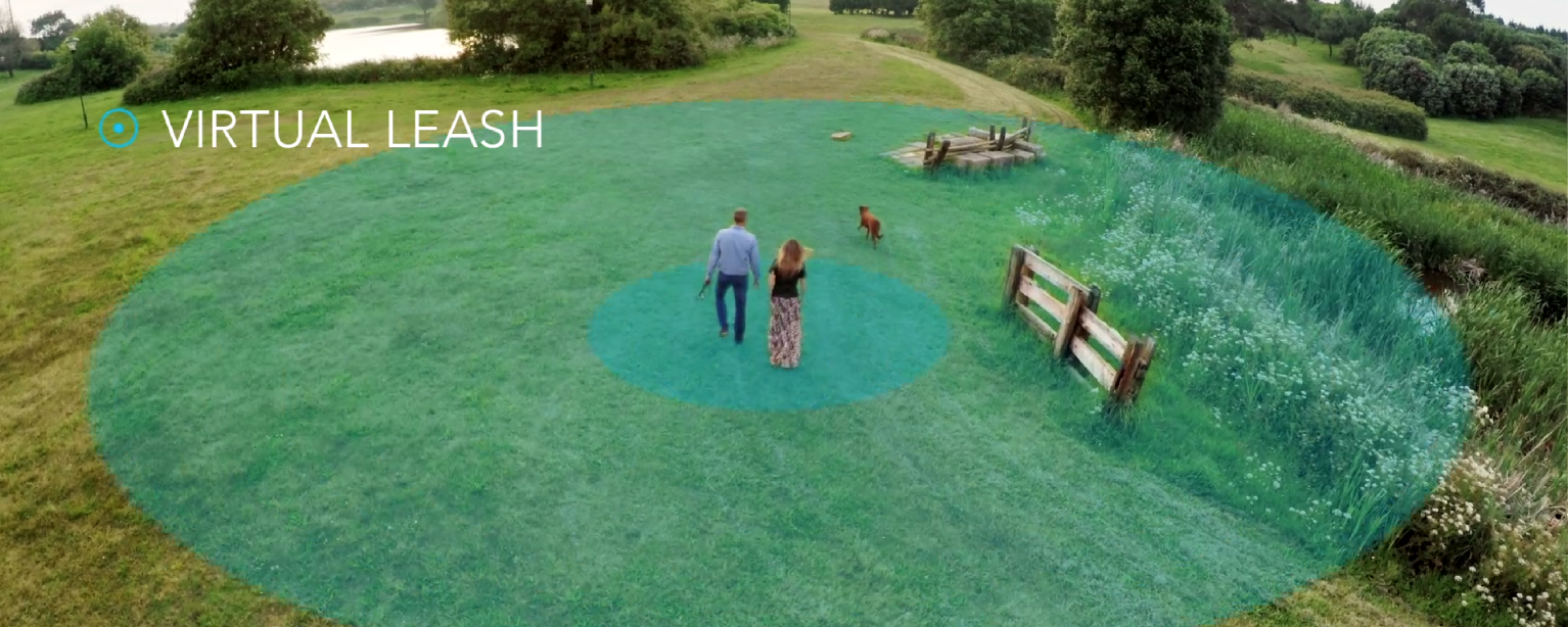 Findster Duo gallery image