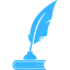 Wriiter