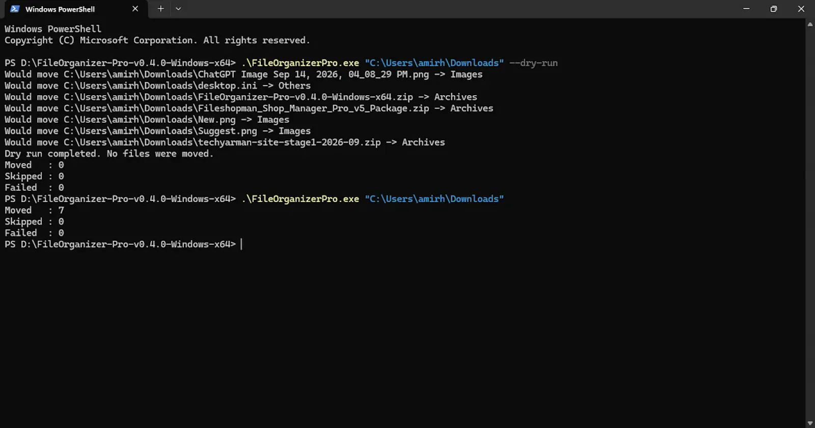 File Organizer screenshot 2
