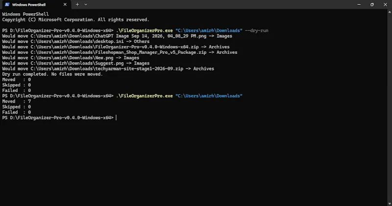 File Organizer screenshot 2