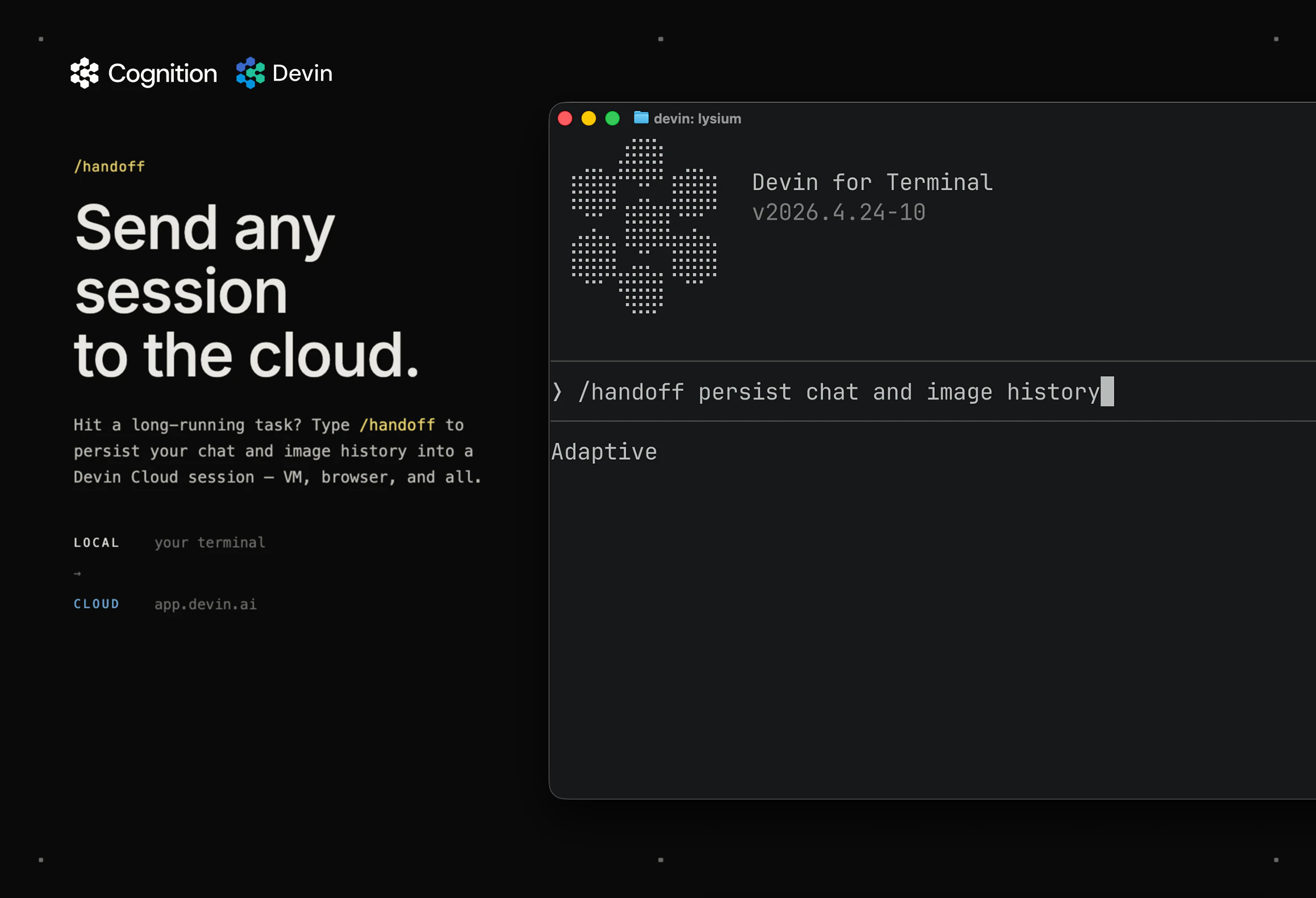 Devin for Terminal screenshot 2