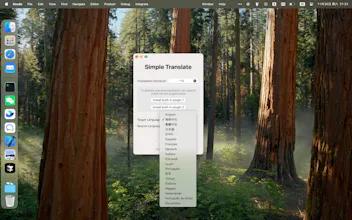 Simple Fast Translation gallery image