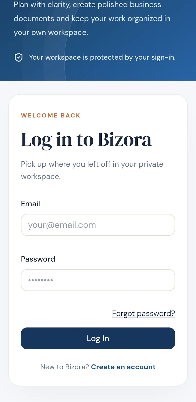 Bizora  screenshot 1