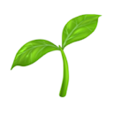 Sprout