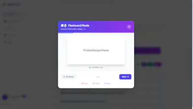 StudyForge AI gallery image