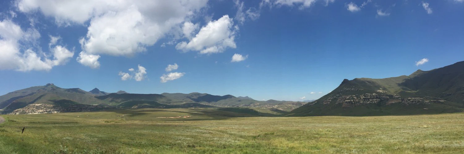 Rick van Haasteren cover