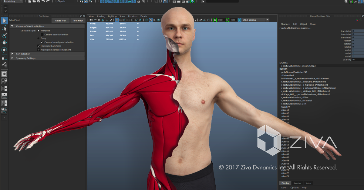 ZIVA VFX gallery image