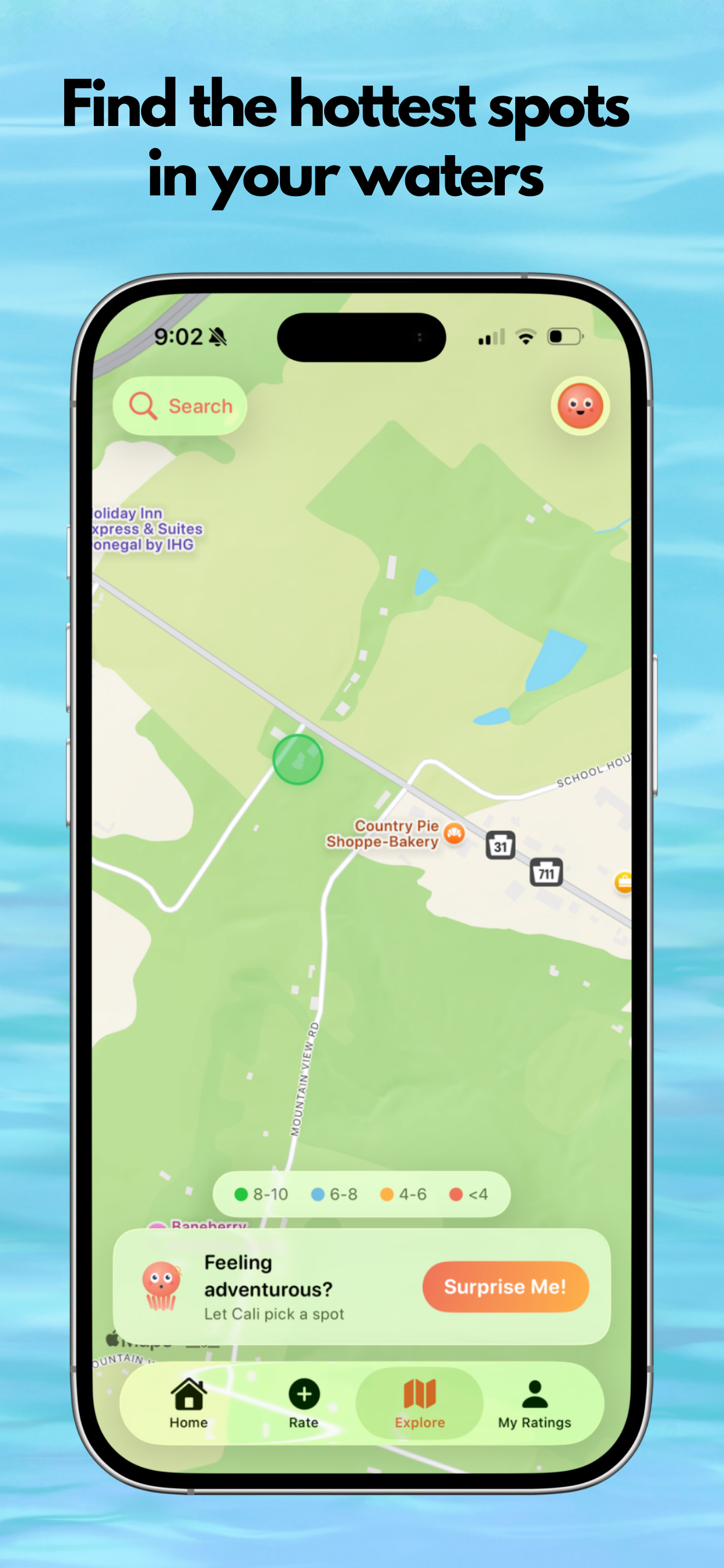 Calamari - Food, Rated media 5