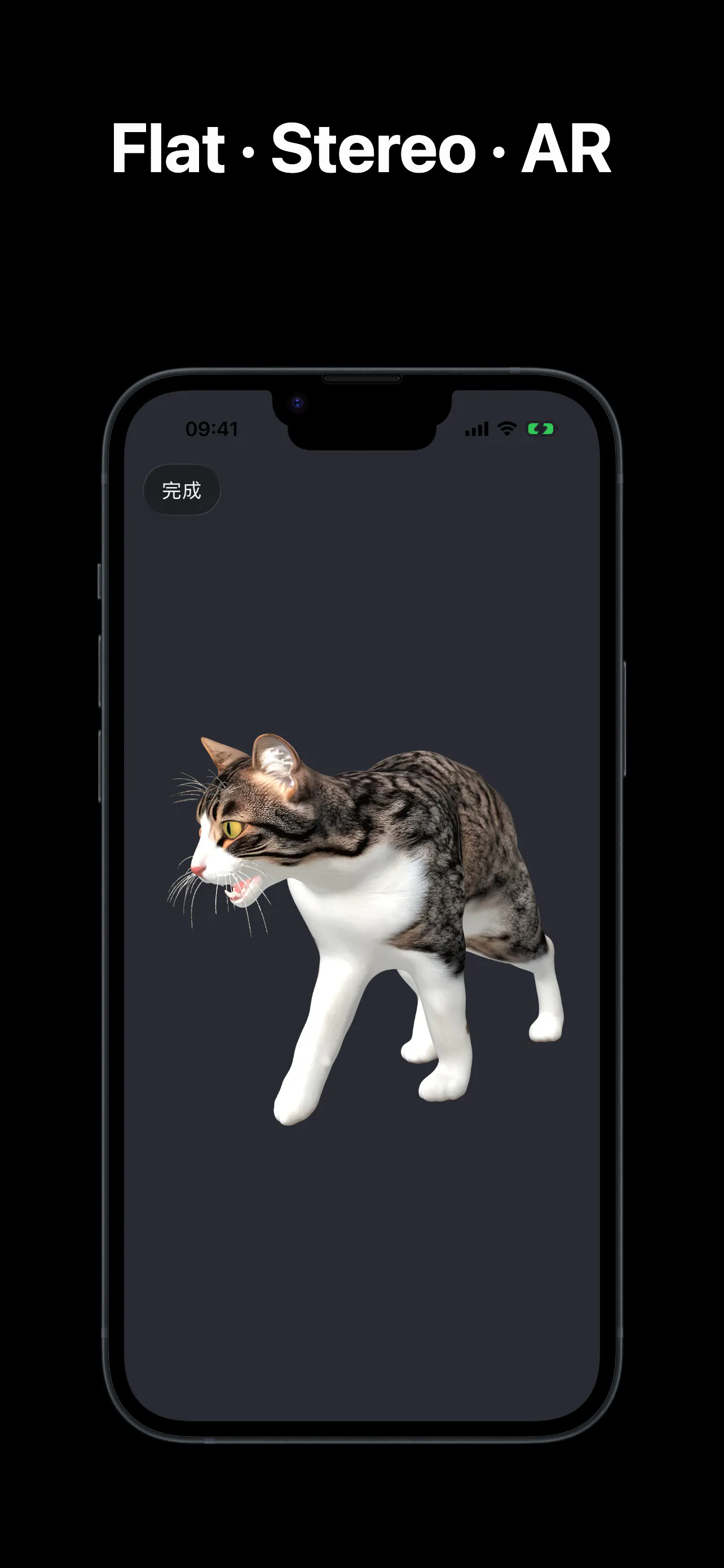 VitaDex gallery image