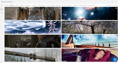 Blissful Backdrop gallery image