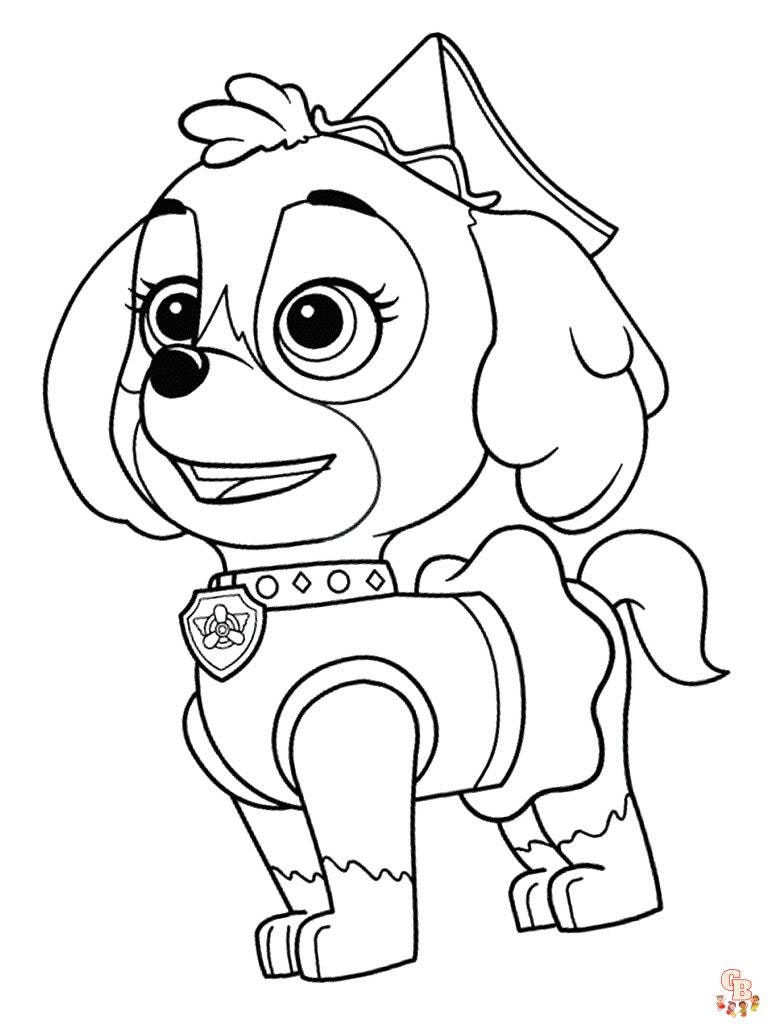 Pat Patrol Coloring media 2