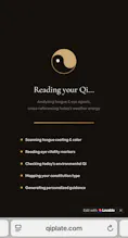 Qi Plate — Ancient wisdom, modern eating gallery image