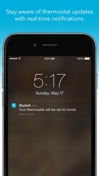 Skylark gallery image