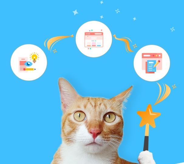 Web Design and Development