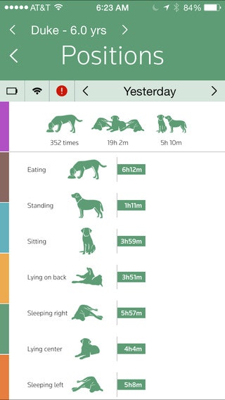 Pet Pace gallery image