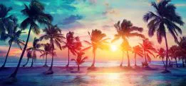 Summer Pictures gallery image
