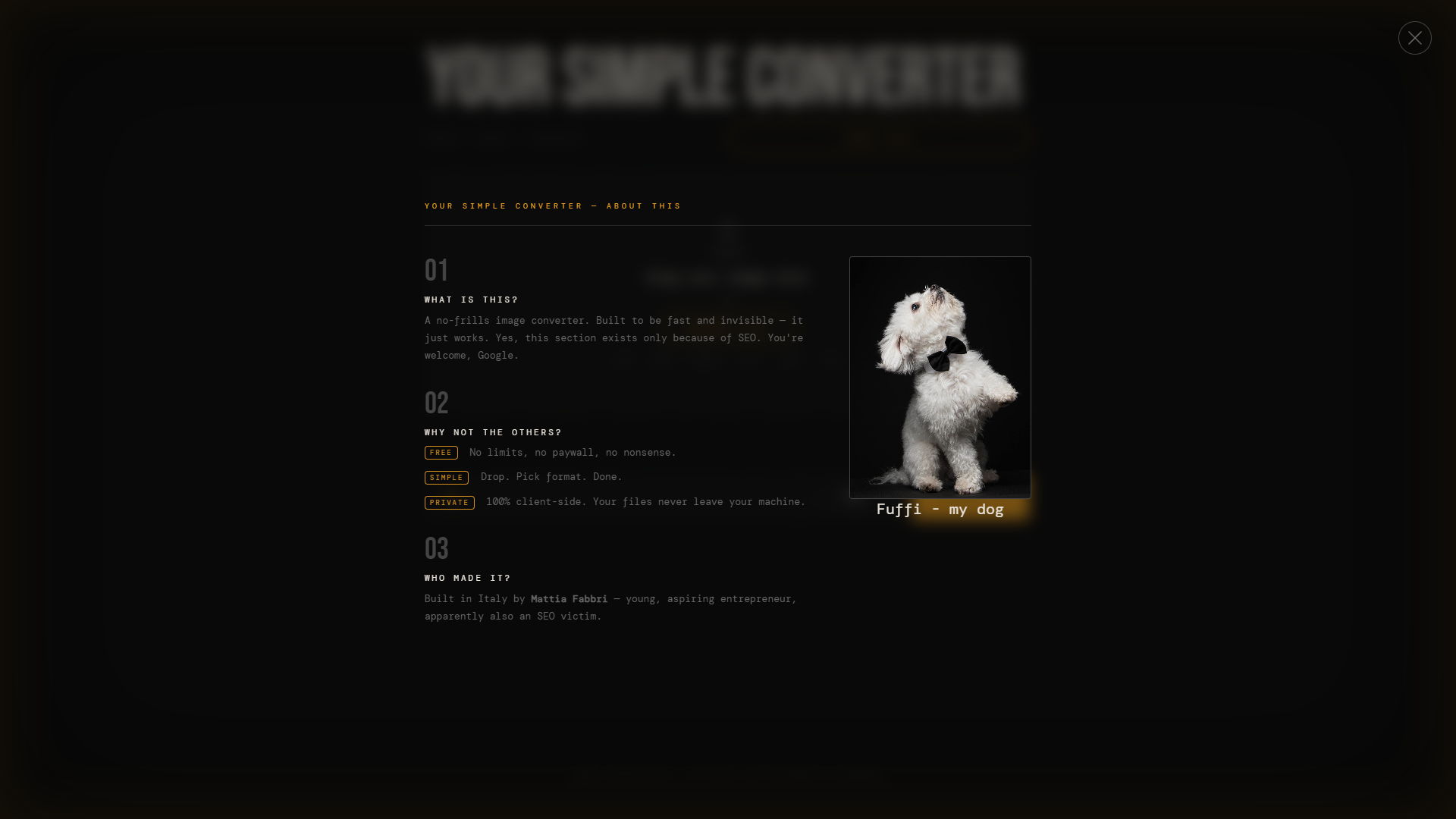Convert images instantly, no uploads. gallery image