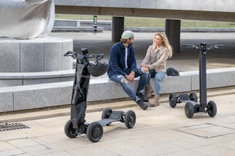 Dragonfly gallery image