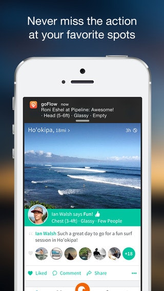Go Flow gallery image