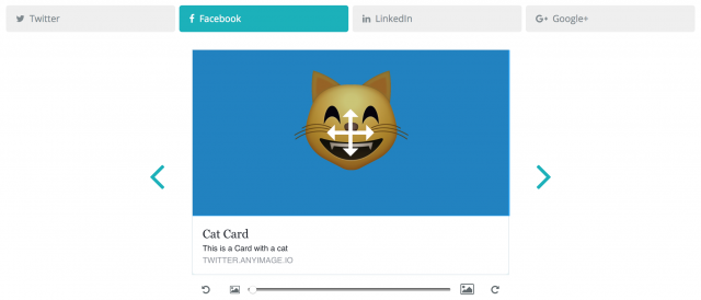 Any Image gallery image