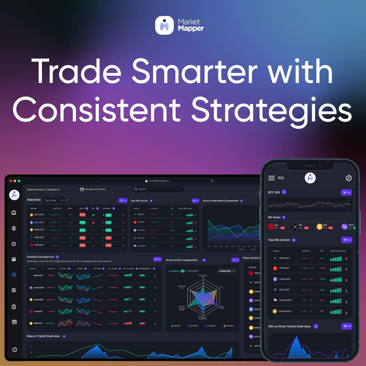 Market Mapper media 3