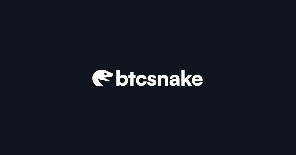 btcsnake - Main screenshot showing features and interface