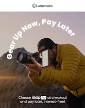 Hedgehog Email gallery image