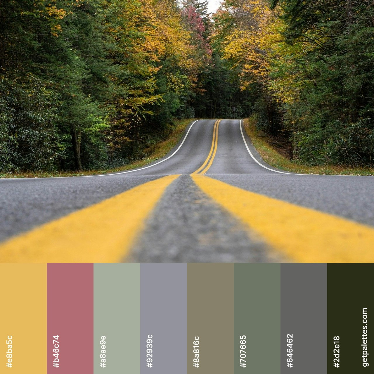 Color Palette Finder gallery image