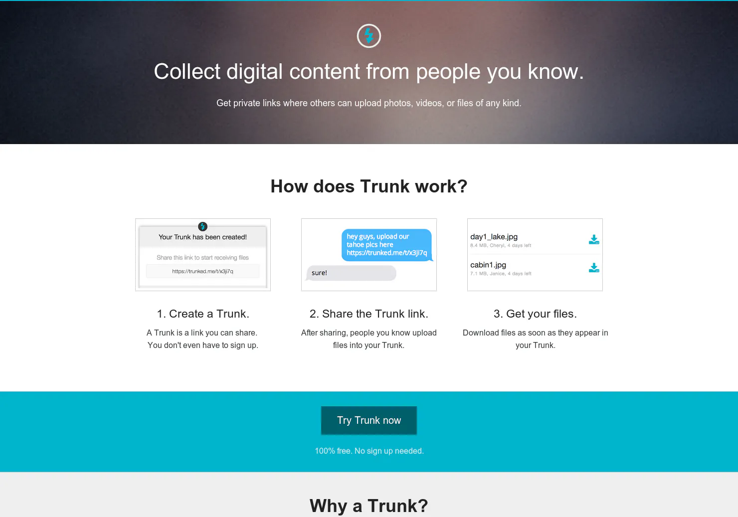 Trunk