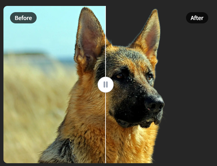 4kupscaler gallery image
