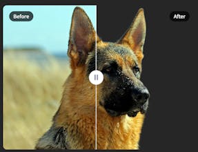 4kupscaler gallery image